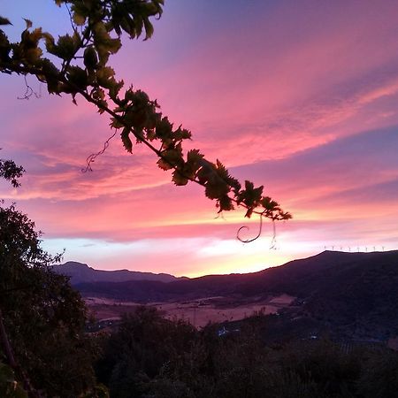Finca La Piedra Holidays Alora Ngoại thất bức ảnh
