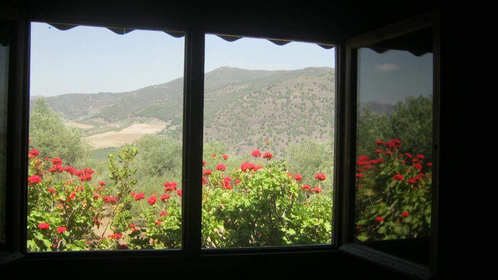 Finca La Piedra Holidays Alora Phòng bức ảnh