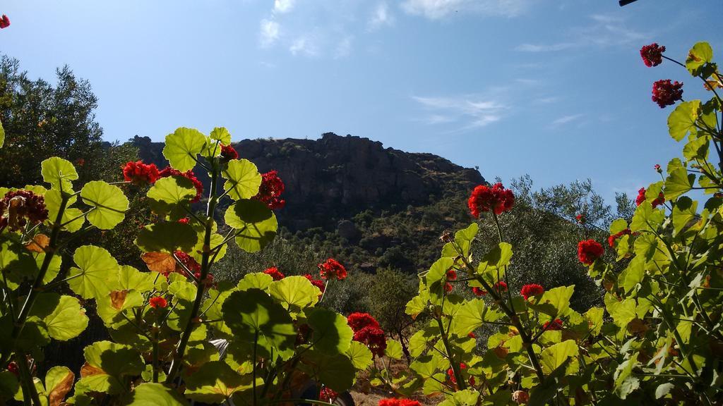 Finca La Piedra Holidays Alora Ngoại thất bức ảnh